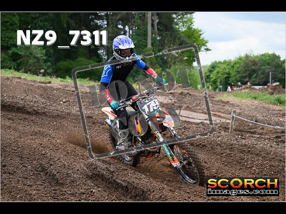 IntersGreenOrange-270