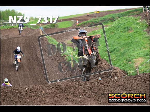 IntersGreenOrange-275