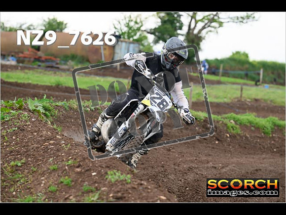 IntersGreenOrange-283