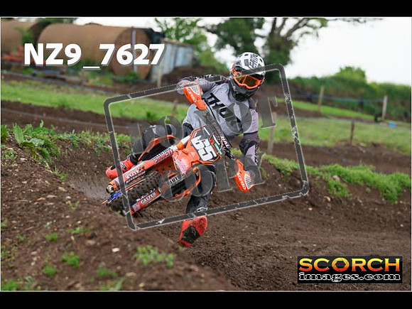 IntersGreenOrange-284