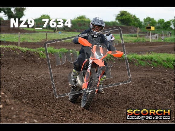 IntersGreenOrange-291