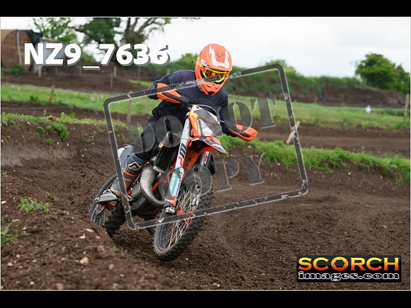 IntersGreenOrange-293