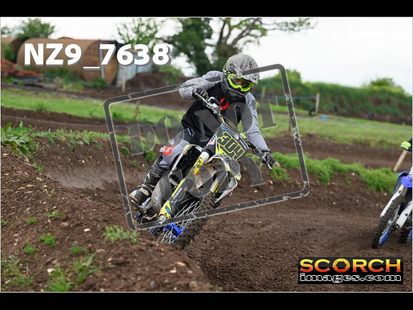IntersGreenOrange-295