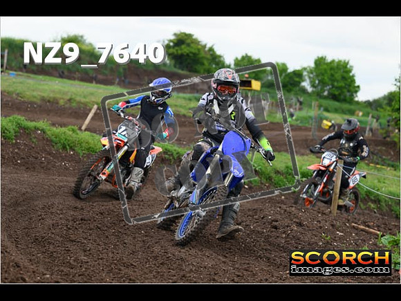 IntersGreenOrange-297