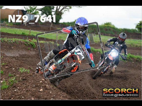 IntersGreenOrange-298