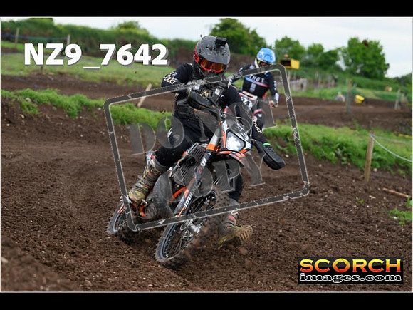 IntersGreenOrange-299
