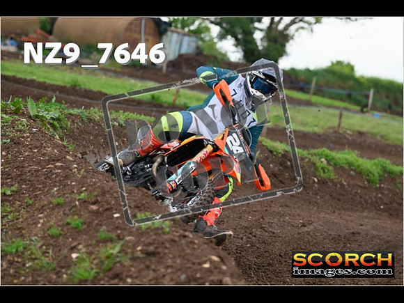 IntersGreenOrange-303