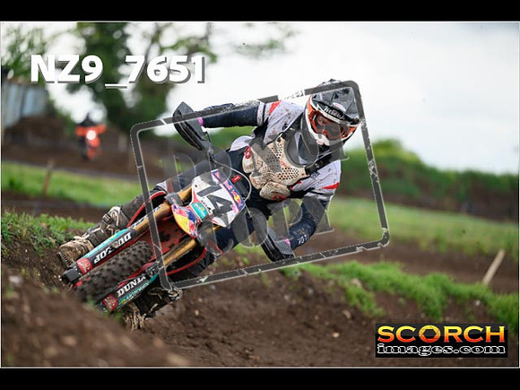 IntersGreenOrange-308