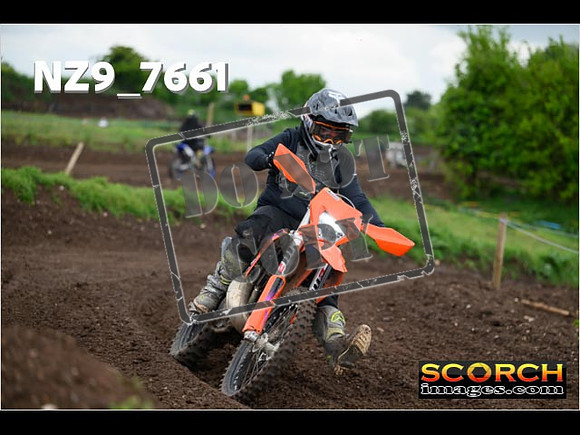 IntersGreenOrange-318