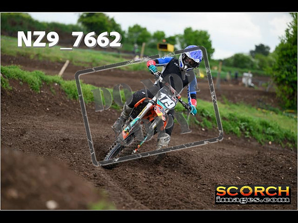 IntersGreenOrange-319