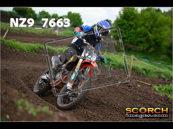 IntersGreenOrange-320
