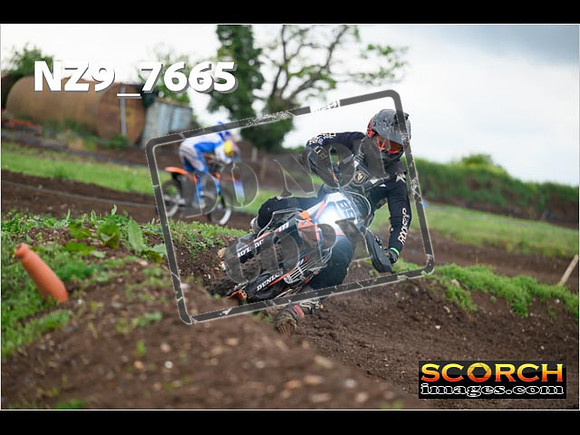 IntersGreenOrange-322