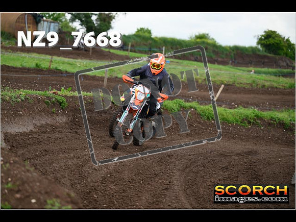 IntersGreenOrange-325