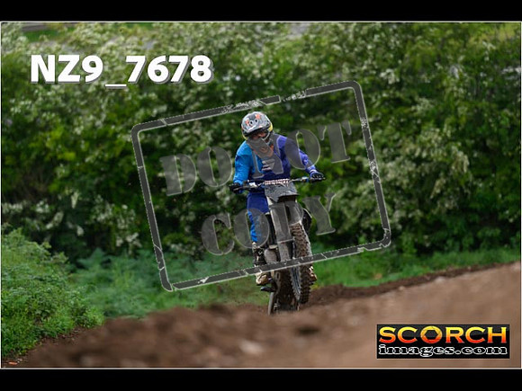 IntersGreenOrange-335