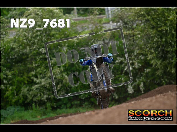 IntersGreenOrange-338
