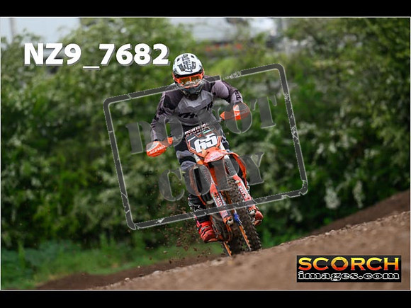 IntersGreenOrange-339