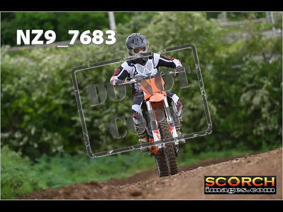IntersGreenOrange-340