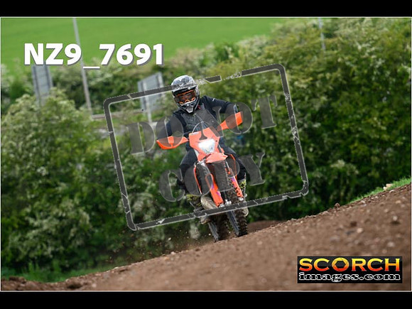 IntersGreenOrange-348