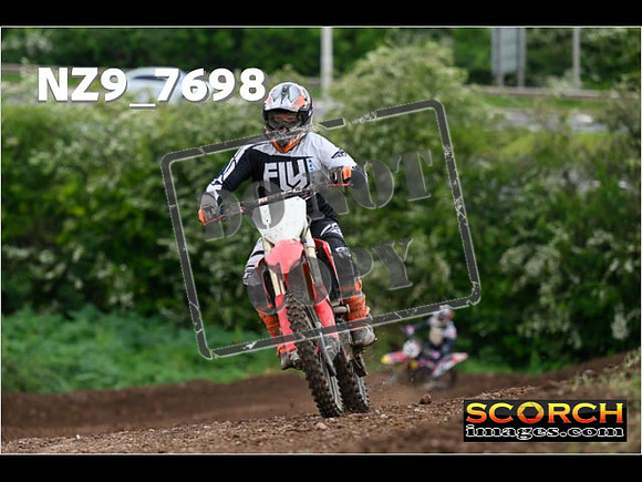 IntersGreenOrange-355