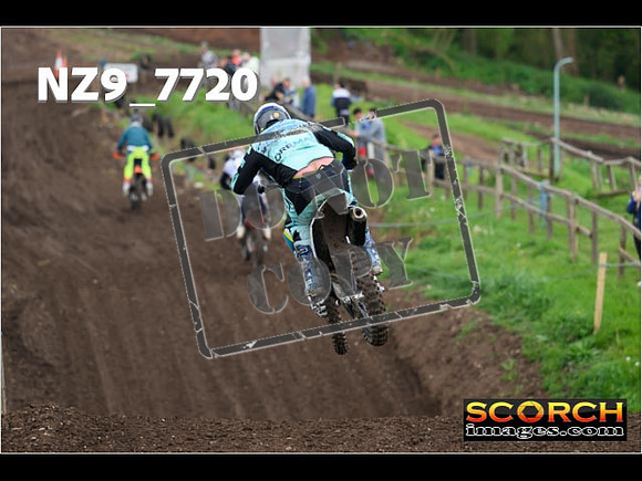 IntersGreenOrange-376