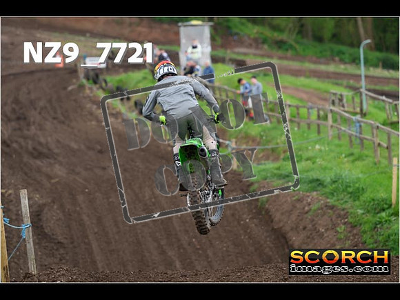 IntersGreenOrange-377