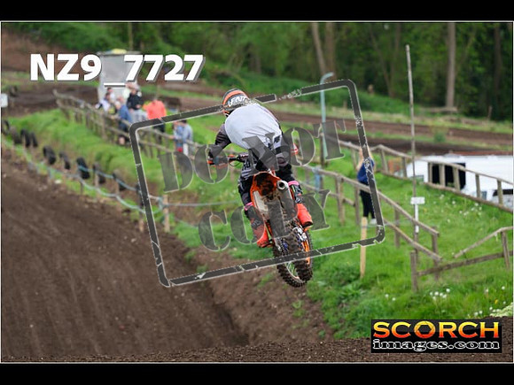 IntersGreenOrange-383
