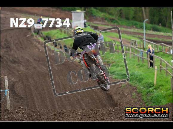 IntersGreenOrange-390