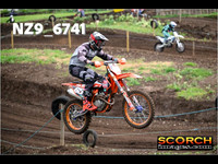 IntersGreenOrange-010