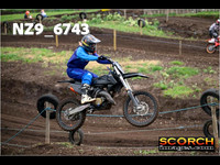 IntersGreenOrange-012