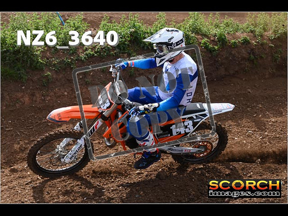 Experts-066