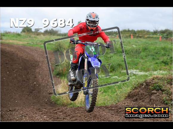 Experts-081