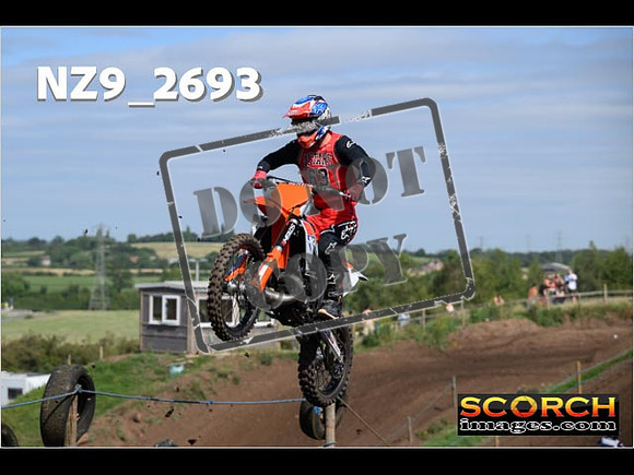 IntersGreenOrange-093