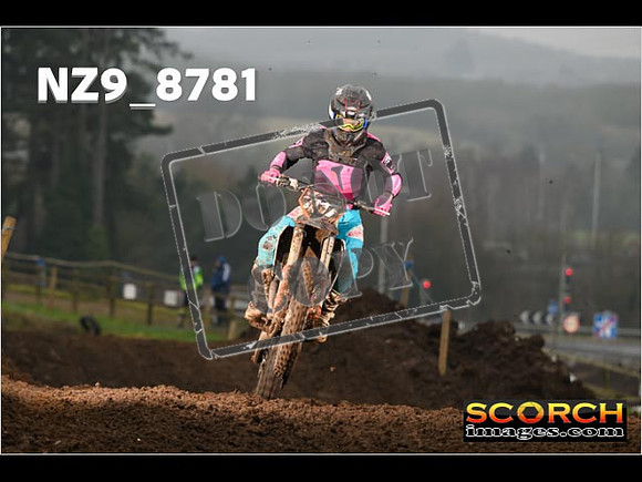 Experts-078