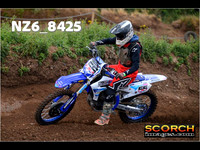 InterGreen-008