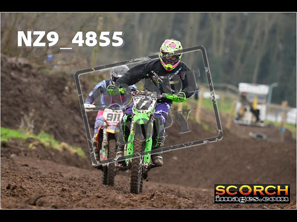 Experts-331