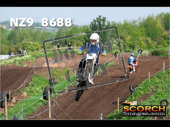 Experts-031