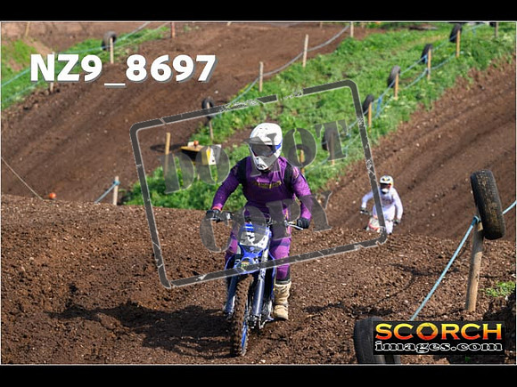 Experts-040