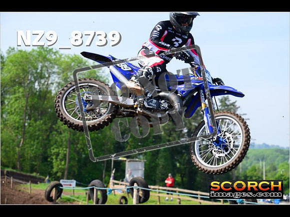 Experts-081