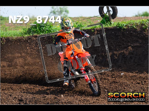 Experts-086