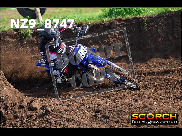 Experts-089