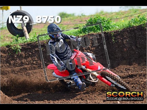 Experts-092