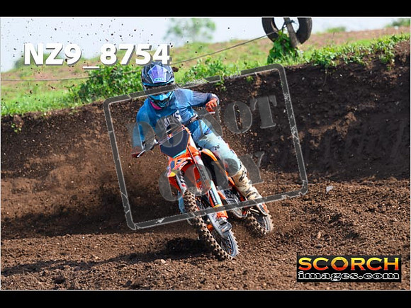 Experts-096
