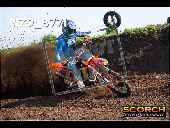 Experts-113