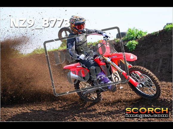 Experts-115