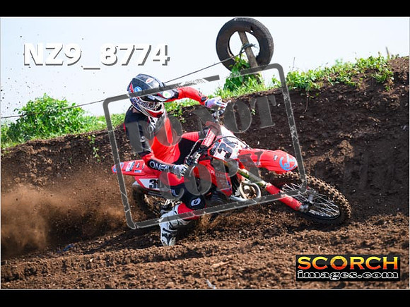 Experts-116