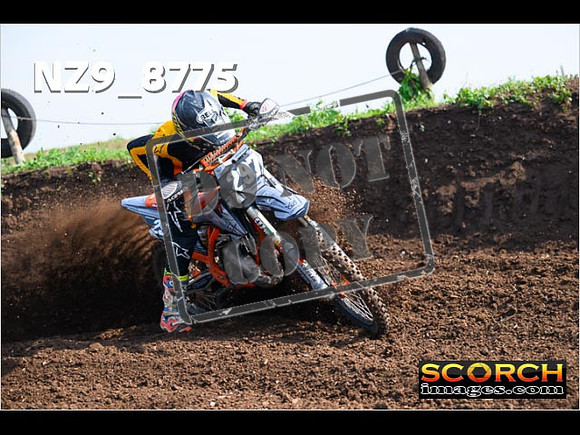 Experts-117