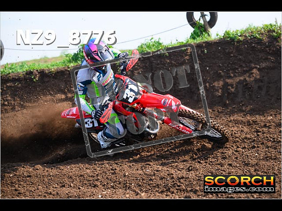 Experts-118
