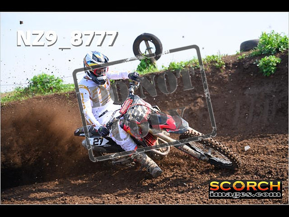 Experts-119