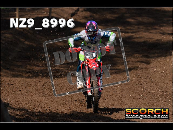 Experts-121