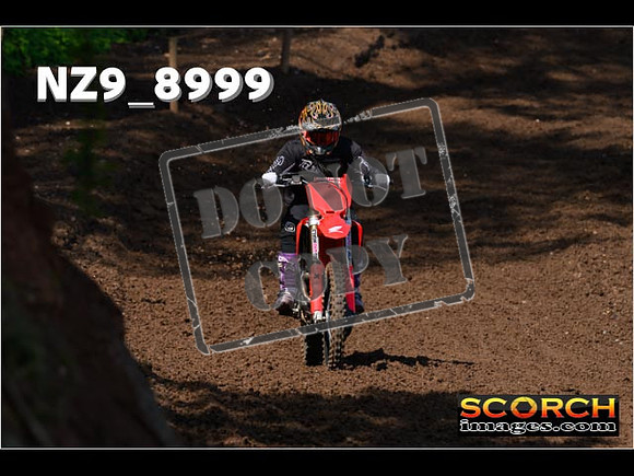 Experts-124